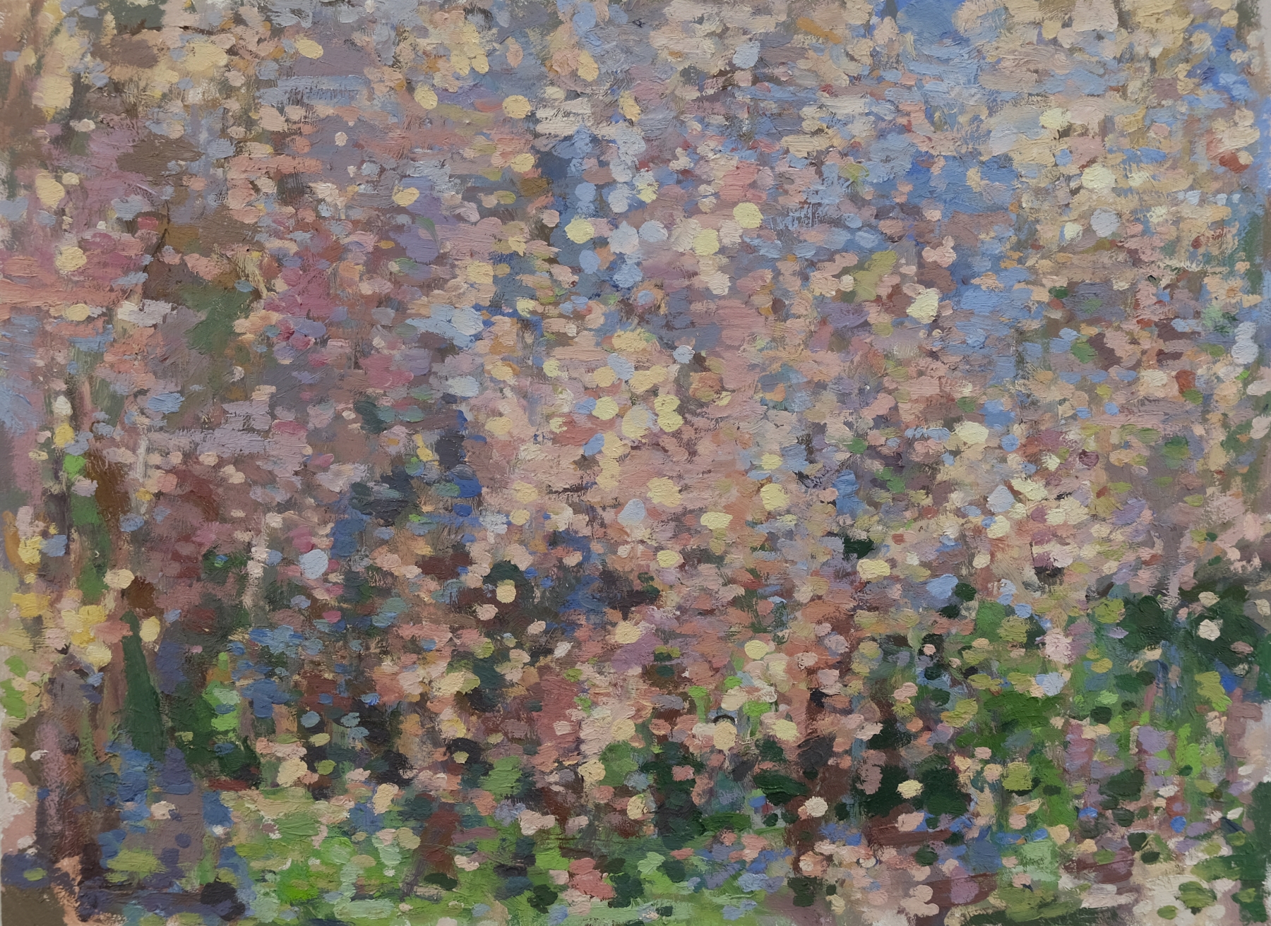 Spring Lights, 22&quot; x 30&quot;, Oil On Wood