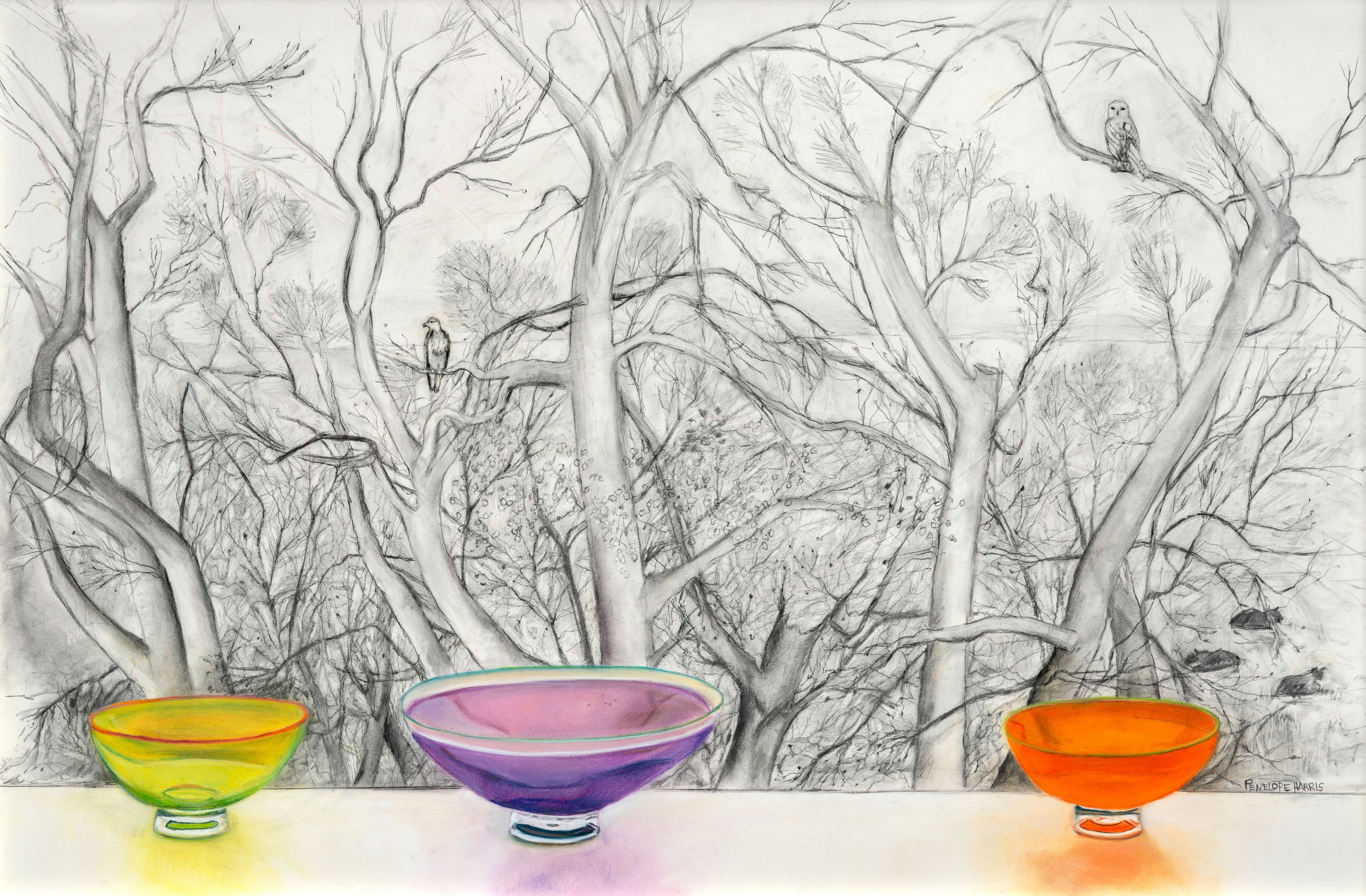 Study From The Studio Window, 40&amp;quot; x 60&amp;quot;, Charcoal And Pastel On Paper